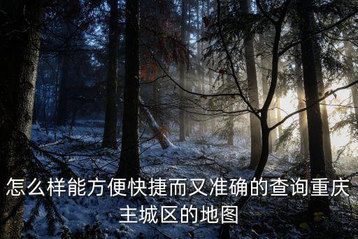 怎么樣能方便快捷而又準(zhǔn)確的查詢(xún)重慶主城區(qū)的地圖