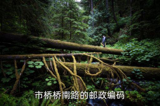 市橋橋南路的郵政編碼