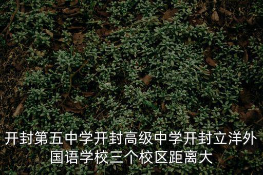 開封第五中學開封高級中學開封立洋外國語學校三個校區距離大
