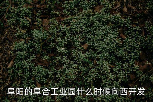 阜合產(chǎn)業(yè)園，想知道 阜陽市阜合新城在哪