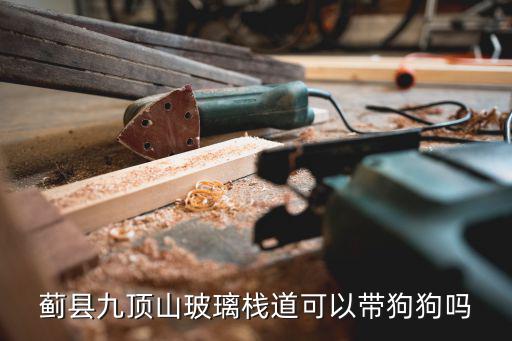 薊縣九頂山玻璃棧道可以帶狗狗嗎