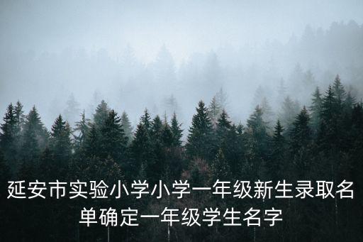 延安市實驗小學(xué)小學(xué)一年級新生錄取名單確定一年級學(xué)生名字