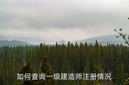 如何查詢一級(jí)建造師注冊(cè)情況