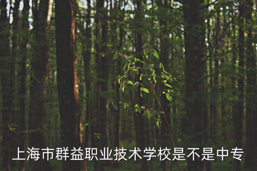 上海市群益職業技術學校是不是中專