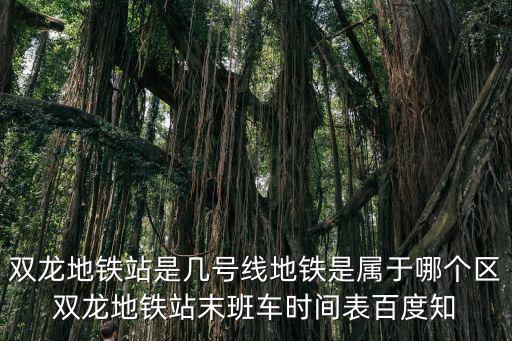 雙龍地鐵站是幾號(hào)線(xiàn)地鐵是屬于哪個(gè)區(qū)雙龍地鐵站末班車(chē)時(shí)間表百度知