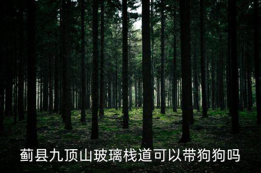 薊縣九頂山玻璃棧道可以帶狗狗嗎
