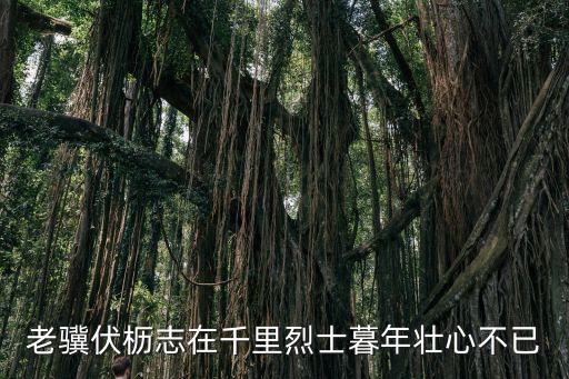 中華英烈網官網，紅軍二萬五千里長征