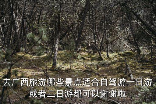 去廣西旅游哪些景點適合自駕游一日游或者二日游都可以謝謝啦