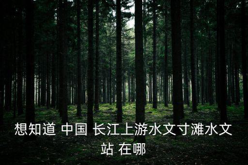想知道 中國 長江上游水文寸灘水文站 在哪