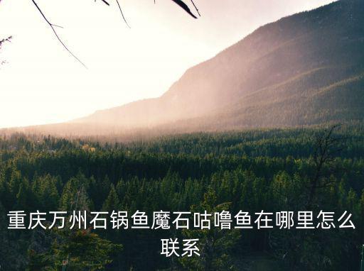 重慶萬州石鍋魚魔石咕嚕魚在哪里怎么聯系