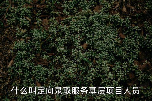 定向錄取，大學錄取中什么是定向式訂單