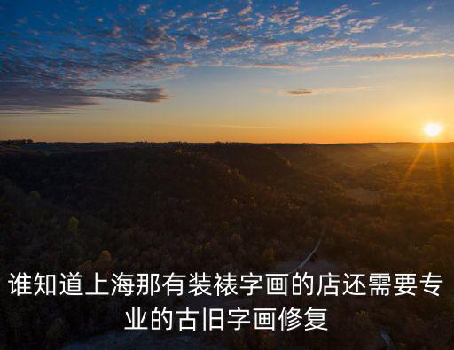 誰知道上海那有裝裱字畫的店還需要專業的古舊字畫修復