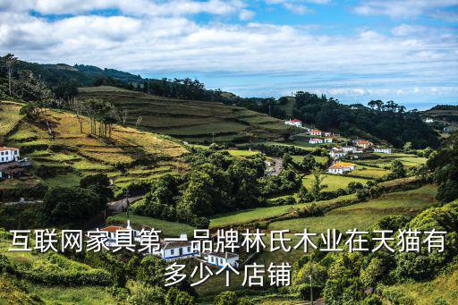 互聯網家具第一品牌林氏木業在天貓有多少個店鋪
