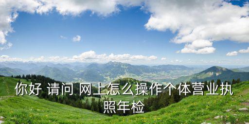 你好 請問 網上怎么操作個體營業(yè)執(zhí)照年檢