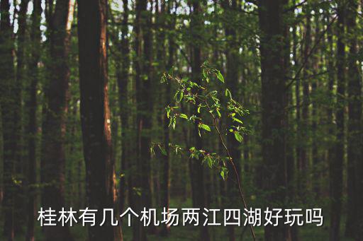 桂林有幾個機場兩江四湖好玩嗎