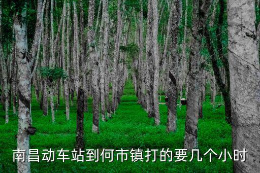 南昌動(dòng)車站到何市鎮(zhèn)打的要幾個(gè)小時(shí)