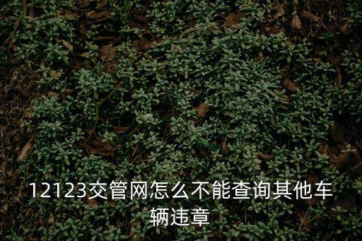 12123交管網怎么不能查詢其他車輛違章