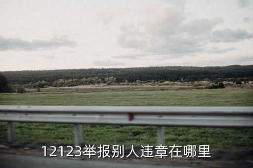 交通違章舉報平臺，12123舉報別人違章在哪里