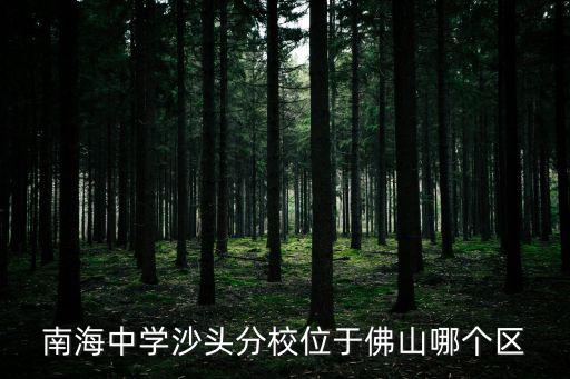 南海中學沙頭分校位于佛山哪個區(qū)