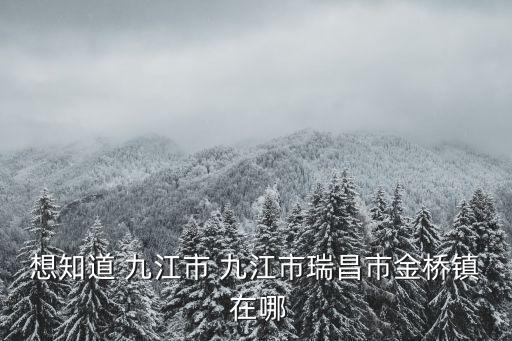 金橋鎮，金橋鎮哪里比較熱鬧就是像服裝一條街或美食一條街之類的