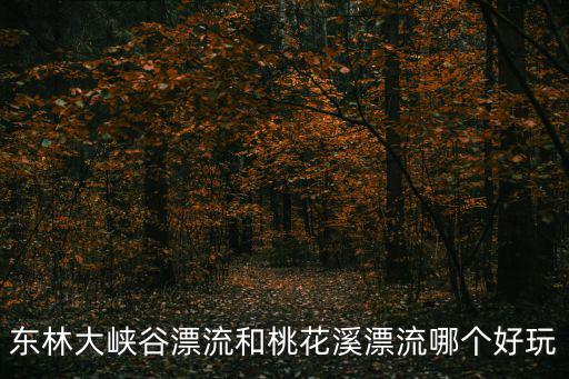 桃花溪漂流，桃花北路亞細亞里面桃花溪漂流多少錢一個人