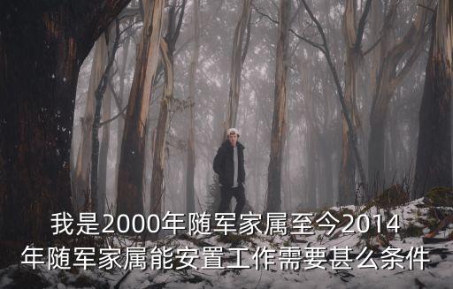 我是2000年隨軍家屬至今2014年隨軍家屬能安置工作需要甚么條件