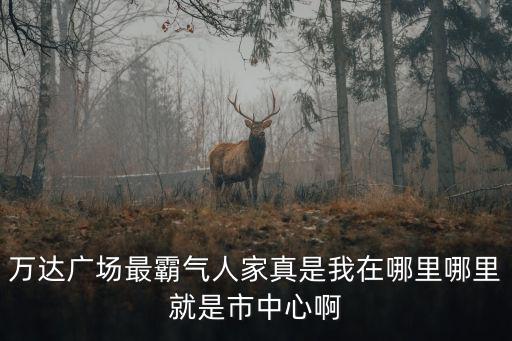 萬達廣場最霸氣人家真是我在哪里哪里就是市中心啊