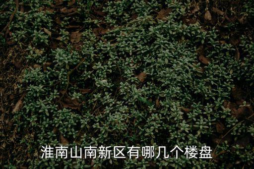 淮南山南新區有哪幾個樓盤