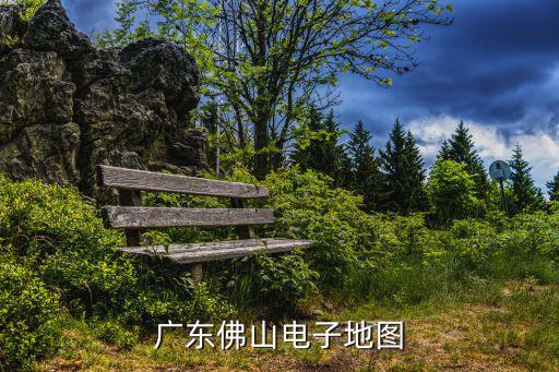 廣東佛山電子地圖