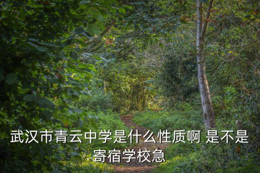 武漢市青云中學是什么性質啊 是不是寄宿學校急