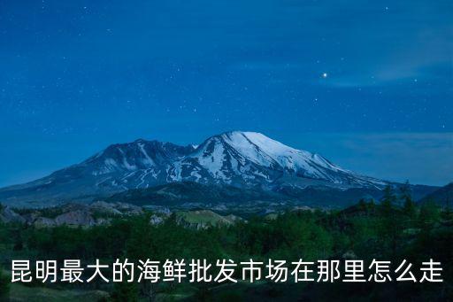 昆明最大的海鮮批發(fā)市場在那里怎么走