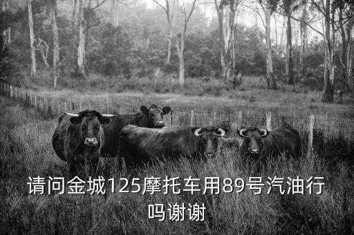 請(qǐng)問金城125摩托車用89號(hào)汽油行嗎謝謝