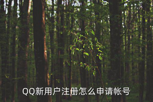 QQ新用戶注冊(cè)怎么申請(qǐng)帳號(hào)