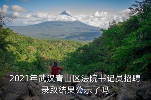 書記員招聘，2021年武漢青山區法院書記員招聘錄取結果公示了嗎