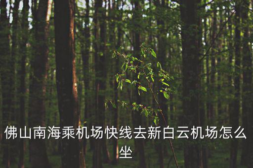 佛山新機場，佛山南海乘機場快線去新白云機場怎么坐