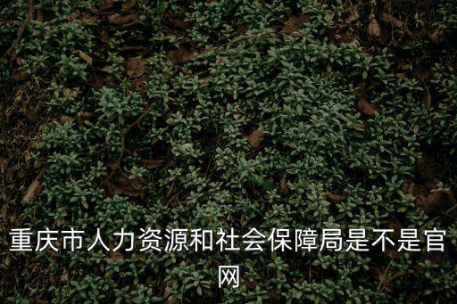 重慶市人力資源和社會保障局是不是官網