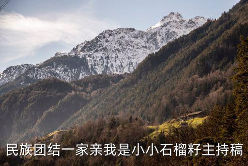 民族團結一家親我是小小石榴籽主持稿