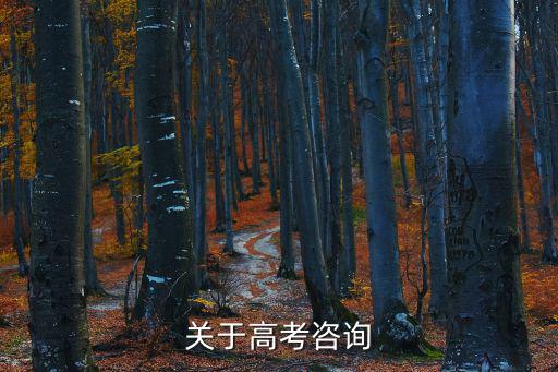 高考咨詢，關(guān)于高考咨詢