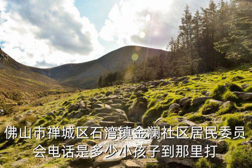 佛山市禪城區石灣鎮金瀾社區居民委員會電話是多少小孩子到那里打