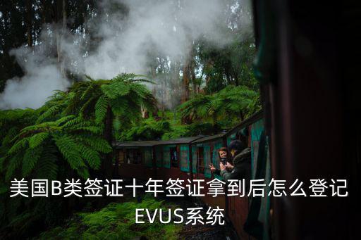 美國B類簽證十年簽證拿到后怎么登記EVUS系統