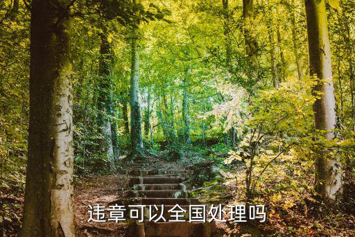 全國交通違章，全國車輛違章網(wǎng)站