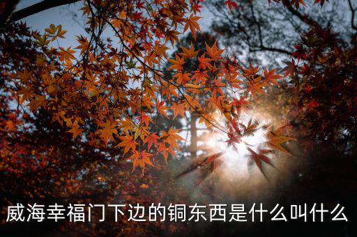 威海幸福門下邊的銅東西是什么叫什么