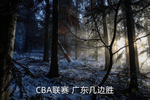 CBA聯賽 廣東幾邊勝
