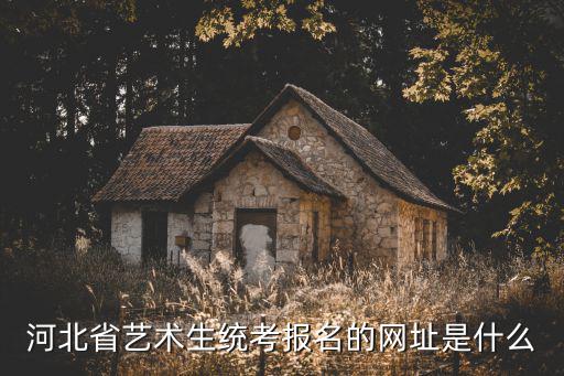 河北省藝術生統考報名的網址是什么