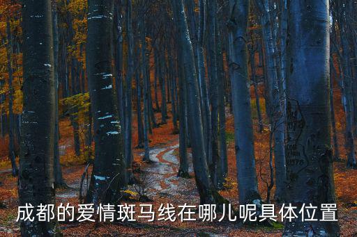 成都的愛情斑馬線在哪兒呢具體位置