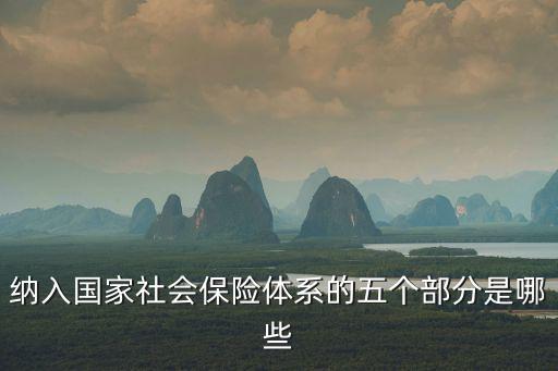 納入國家社會保險體系的五個部分是哪些