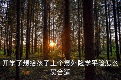 開學(xué)了想給孩子上個(gè)意外險(xiǎn)學(xué)平險(xiǎn)怎么買合適