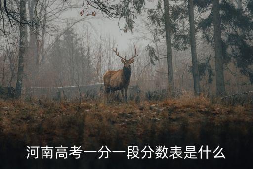 河南高考一分一段表，河南高考一分一段分數表是什么