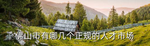佛山市有哪幾個正規的人才市場