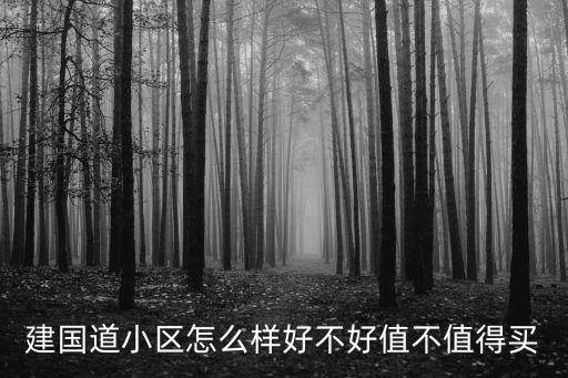 建國(guó)道小區(qū)怎么樣好不好值不值得買